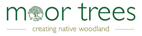 Moor Trees - creating Native woodland