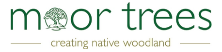 Moor Trees - creating native woodland in South Devon and Dartmoor